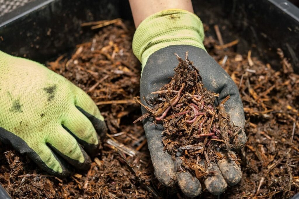 Organic Fertilizer