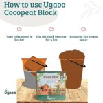 Ugaoo Cocopeat Block for Home Garden Plants 5 Kg - Image 3