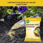 Banana Peel Powder Organic Fertilizer for Plants - Image 2