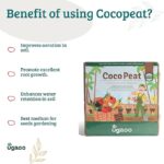 Ugaoo Cocopeat Block for Home Garden Plants 5 Kg - Image 2