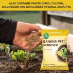 Banana Peel Powder Organic Fertilizer for Plants - Image 3