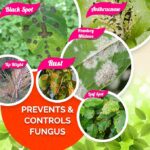 OrganicDews Pure Neem-Karanja Oil (Water Soluble) For Plants 250 ml With Measuring Cup 25 ml - Controls Garden Insects, Fungus Diseases in plant 250 ml - Image 2