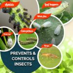 OrganicDews Pure Neem-Karanja Oil (Water Soluble) For Plants 250 ml With Measuring Cup 25 ml - Controls Garden Insects, Fungus Diseases in plant 250 ml - Image 3