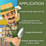 Organic Nutrient rich Rock Phosphate fertilizers for plants home garden(900gm) | Natural Source of Phosphate - Image 2