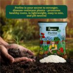 Ugaoo Perlite for Gardening Potting Soil, Indoor & Outdoor, Hydroponics and Horticulture Potting Mix- 250 Grams - Image 3