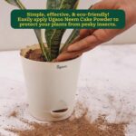 Ugaoo Neem Cake Powder for Plants 1 Kg - Organic Fertilizer & Pest Repellent - Image 3