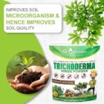 Go Garden Trichoderma Bio Fungicide for plants (2 x 10^8 CFU per Gram) Bio Fungicide - Prevents Fungal and Bacterial Diseases in Plants 400 Gm - Image 2