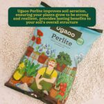 Ugaoo Perlite for Gardening Potting Soil, Indoor & Outdoor, Hydroponics and Horticulture Potting Mix- 250 Grams - Image 2