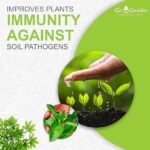 Go Garden Trichoderma Bio Fungicide for plants (2 x 10^8 CFU per Gram) Bio Fungicide - Prevents Fungal and Bacterial Diseases in Plants 400 Gm - Image 3