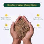 UGAOO Mustard Oil Cake Powder for Healthy Plants And Soil - 1 Kg - Image 4
