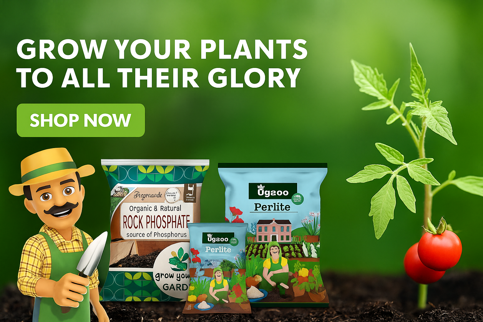 ChatGPT Image Nov 10, 2025, 06_00_04 AM