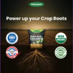 Katyayani Activated Humic Acid + Fulvic Acid 98 Fertilizer for Crop Nutrition & Root Growth - Image 3