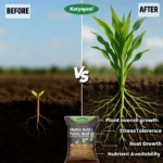 Katyayani Activated Humic Acid + Fulvic Acid 98 Fertilizer for Crop Nutrition & Root Growth - Image 2